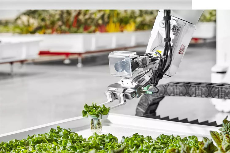 اتوماسیون کشاورزی با اولین مزرعه رباتیک جهان به واقعیت نزدیک‌تر شد 