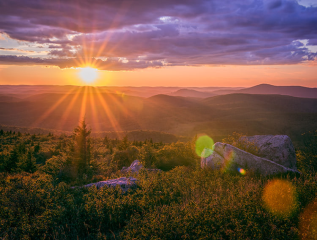 5 نکته برای استفاده از Lens Flare در عکاسی ... 