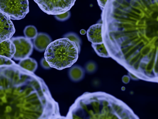 واکسن HIV در مرحله تست بالینی قرار دارد ... 